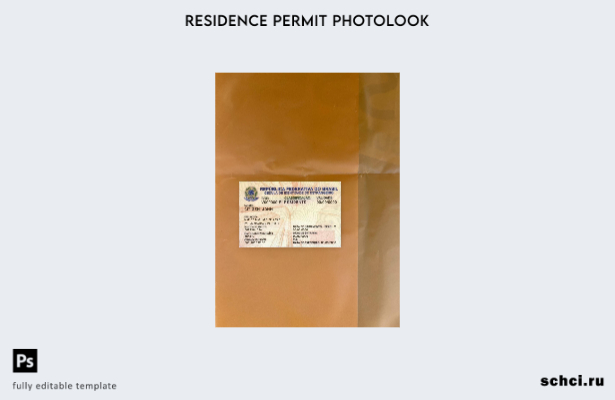 скачать цифровую версию шаблона вида на жительство в Бразилии с фотоизображением